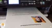 Echtheitszertifikate (25 Blatt + 50 Hologramme) inkl. Registrierung in Künstlerdatenbank